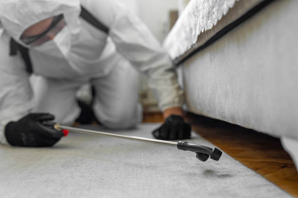 Professional Bed Bug Control technician working in West Odessa, TX