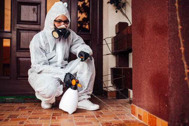 Reliable Bed Bug Control contractor in West Odessa, TX by Nex Pest Control